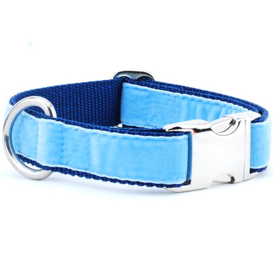 Light Blue/Navy Holiday Velvet Essential Martingale Dog Collar by 2 Hounds Design, sold through Sniff and Shift