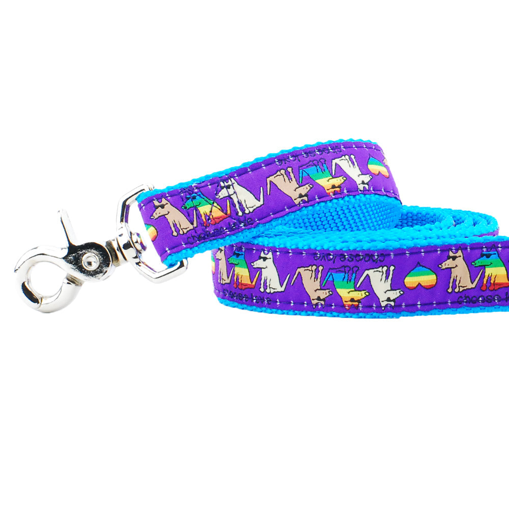 Choose Love Teddy The Dog Ribbon Dog Leash 1″ by 2 Hounds Design, sold through Sniff and Shift