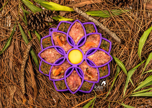 Raw Instincts duck blend in a purple flower shaped lick mat with an egg yolk in the center, on pine needles.