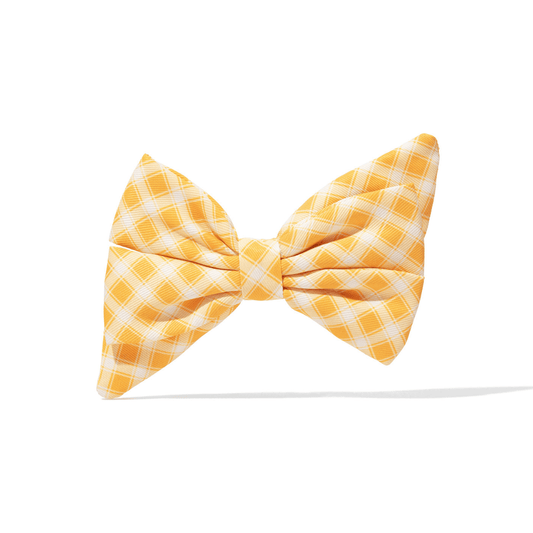 Daisy Dog Babe Bow in yellow gingham plaid, Pink Papyrus Co., sold through Sniff and Shift