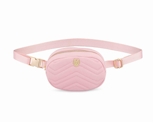 Daphne Waste Bag Holder & Treat Pouch in 100% nylon, Pink Papyrus Co., sold through Sniff and Shift