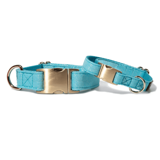 Dawson Dog Collar finished in non-shedding glitter, Pink Papyrus Co., sold through Sniff and Shift