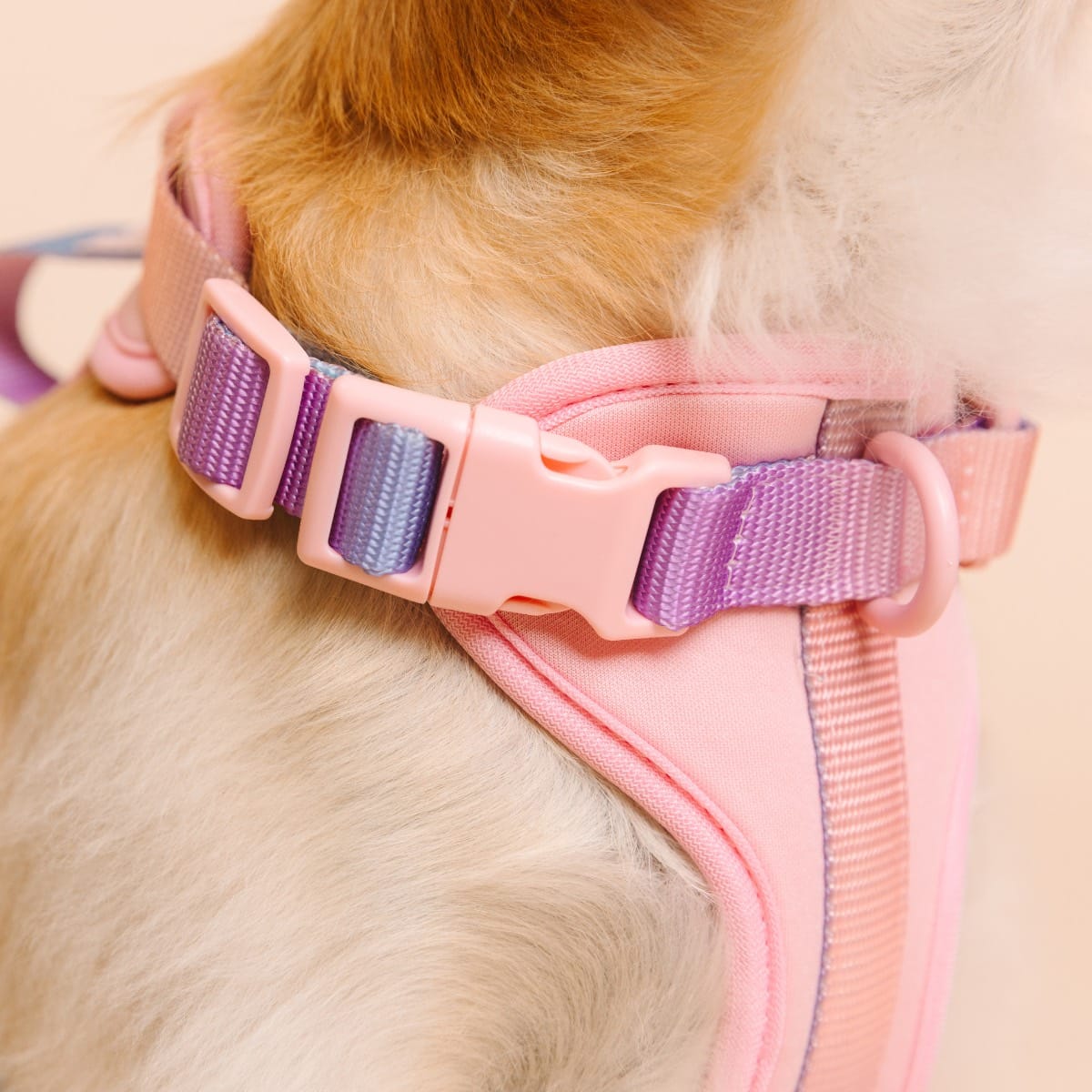 Diem Dog Harness