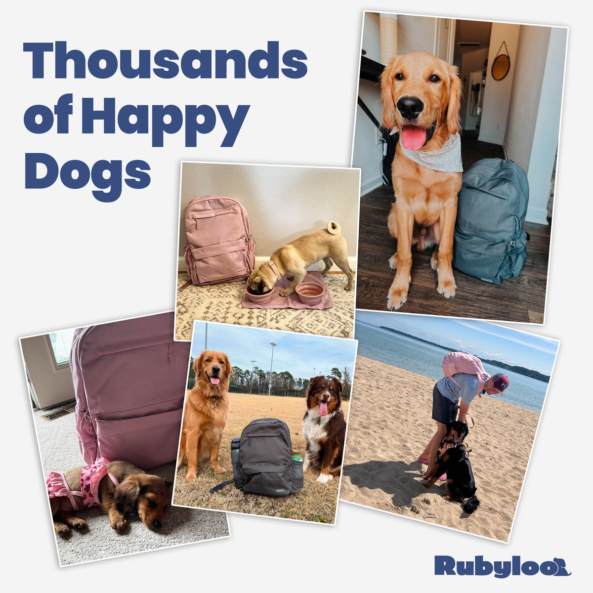 The Original Doggy Bag Backpack for Dog Supplies