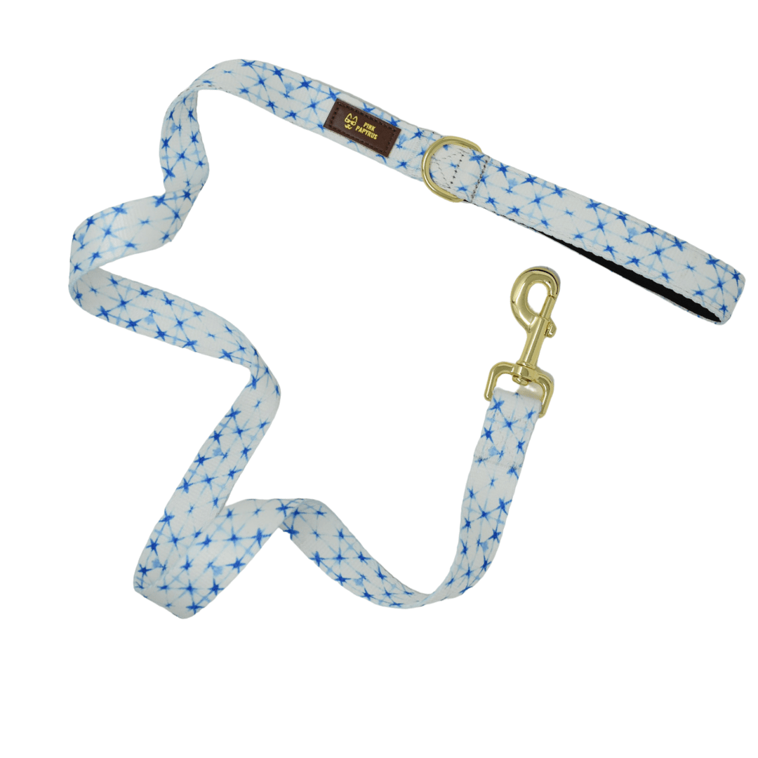 Drew Dog Leash with a padded grip, 4 and 6 feet, Pink Papyrus Co., sold through Sniff and Shift
