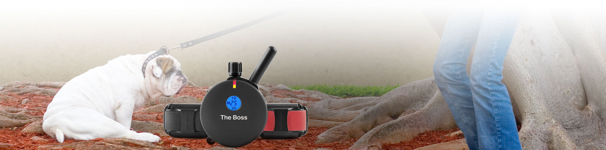 The Boss Educator ET-800 e-collar system
