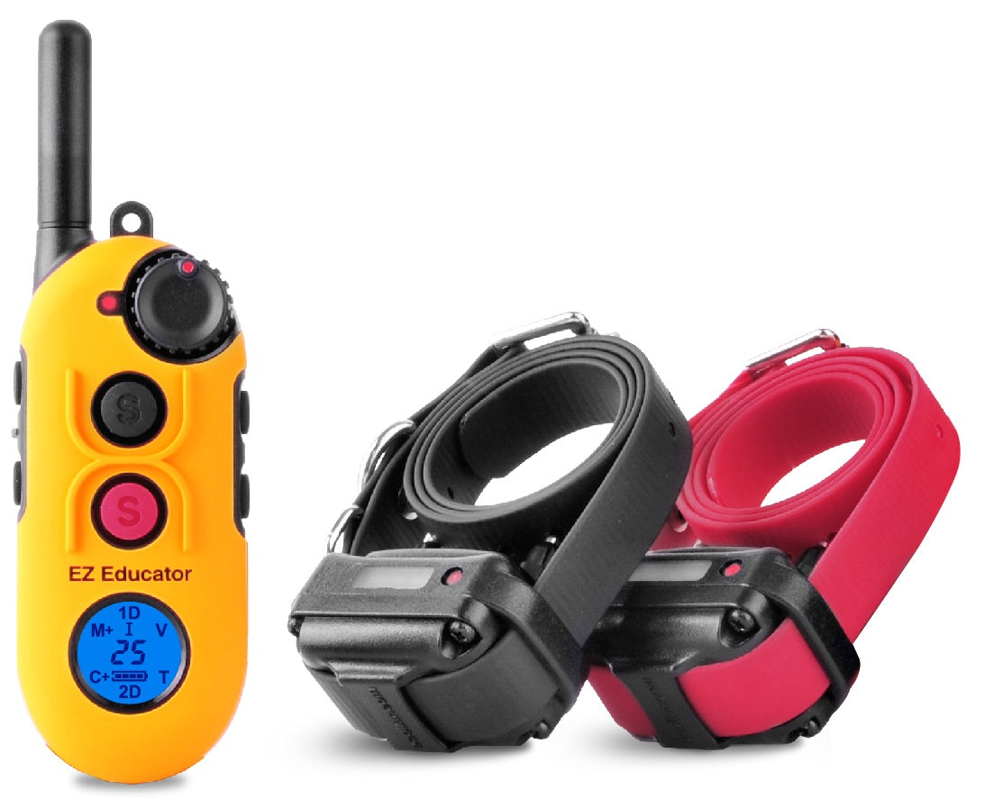 Easy Educator EZ-902 two-dog e-collar