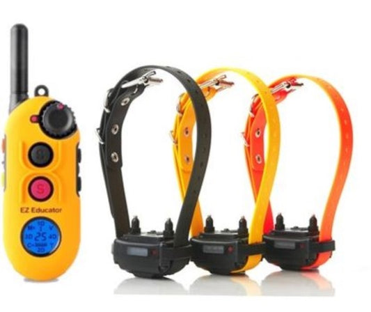 Easy Educator EZ-903 three-dog remote training system