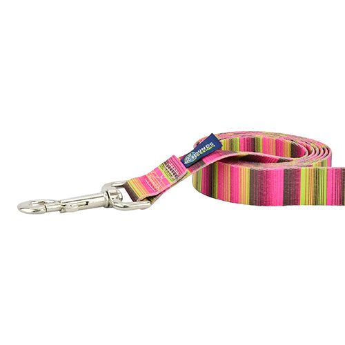 Bonnie EarthStyle Dog Leash by 2 Hounds Design, sold through Sniff and Shift