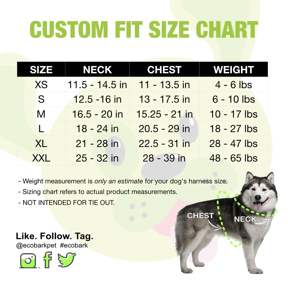 Custom-Fit Harness & Leash Combo, Red Stripe