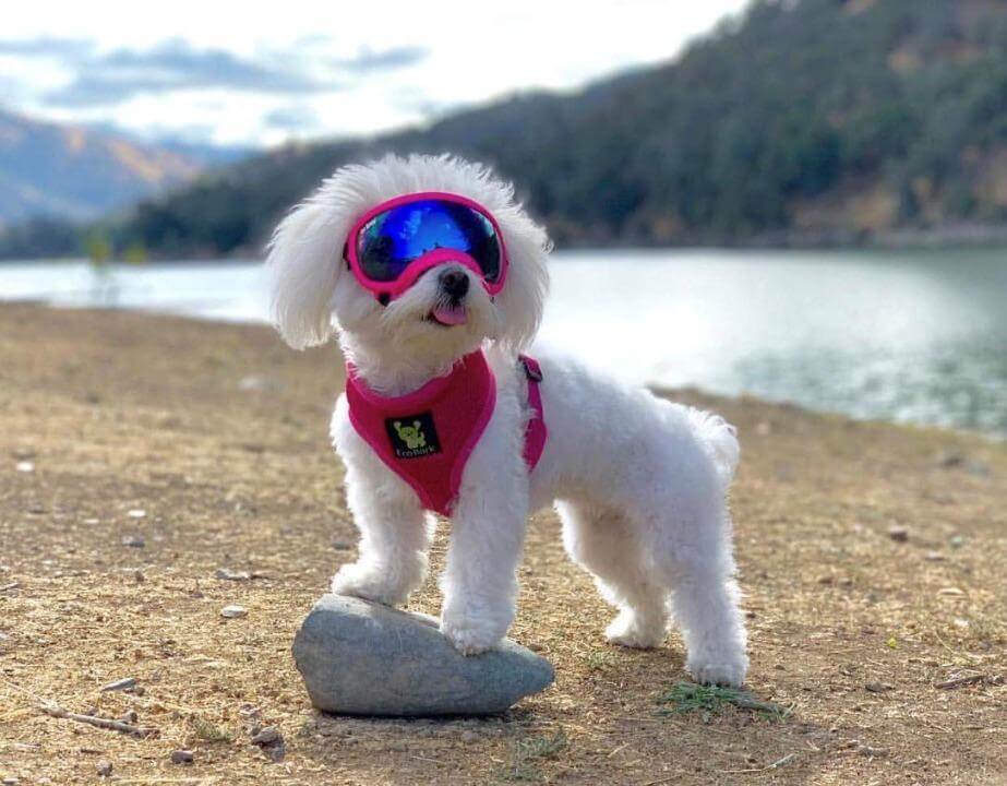 Pink Over-the-Head Dog Harness, Vest Halter, XS to XX-Large