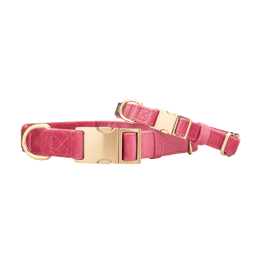Ella Dog Collar in dusty rose velvet with gold hardware, Pink Papyrus Co., sold through Sniff and Shift