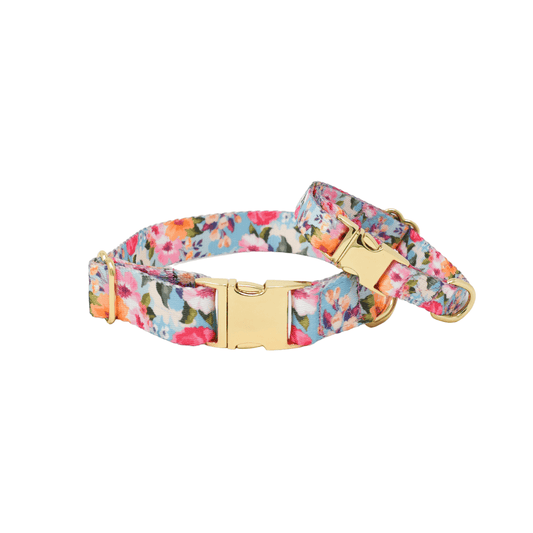 Emery Dog Collar in a bold floral print, Pink Papyrus Co., sold through Sniff and Shift