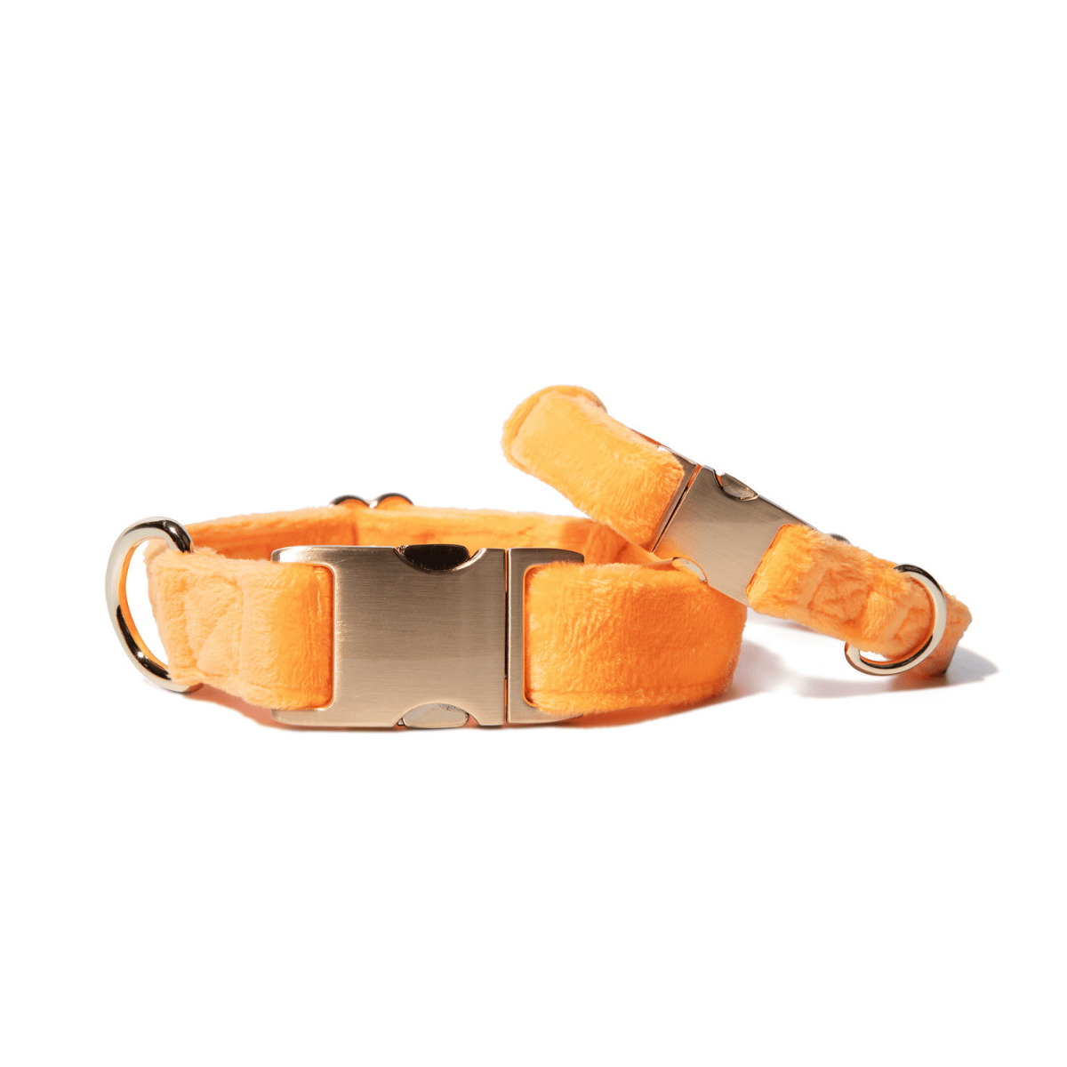 Ezra Dog Collar in ultra-soft velvet, sizes XS to L, Pink Papyrus Co., sold through Sniff and Shift