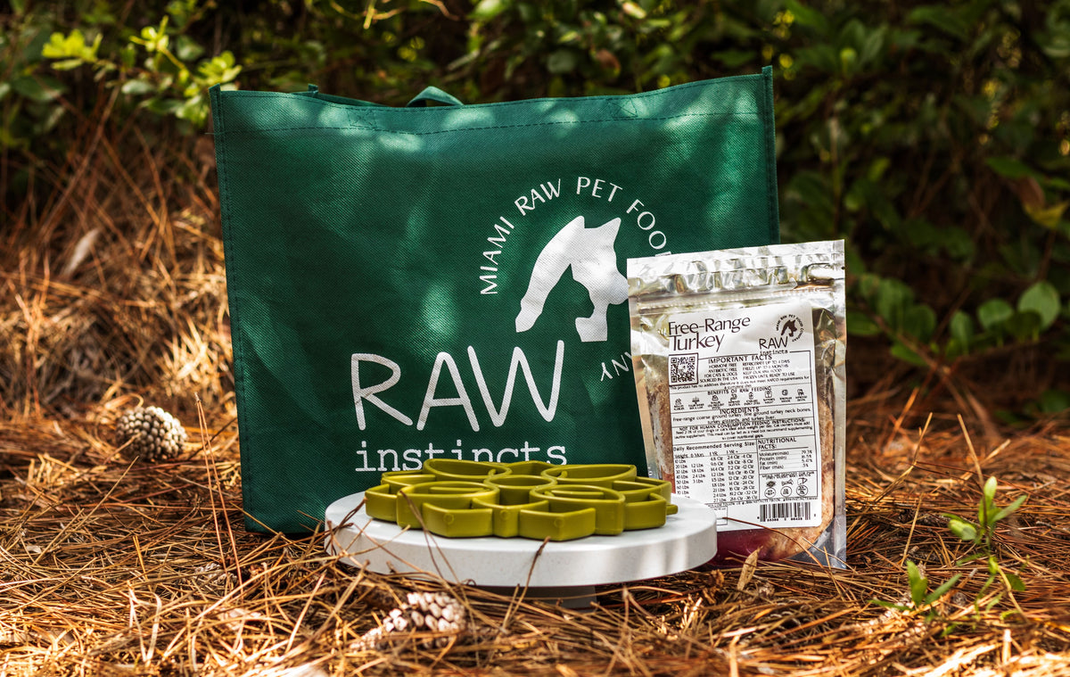 Raw Turkey Meal Blend for Cats & Dogs, Prey Model Raw | Raw Instincts Florida