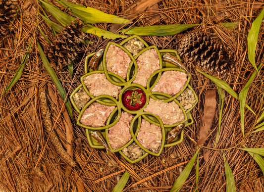 Raw Instincts turkey blend in a green flower shaped lick mat with small whole fish and a strawberry center, on pine needles.