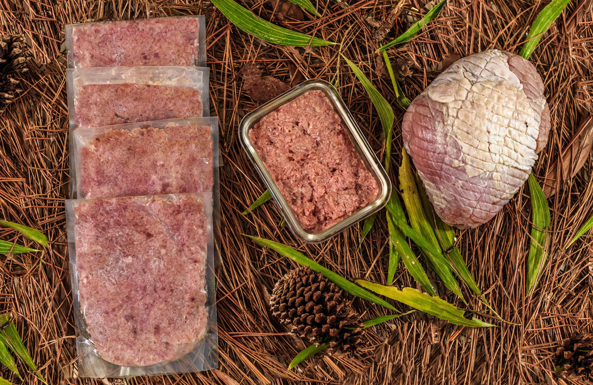 Raw Turkey Meal Blend for Cats & Dogs, Prey Model Raw | Raw Instincts Florida