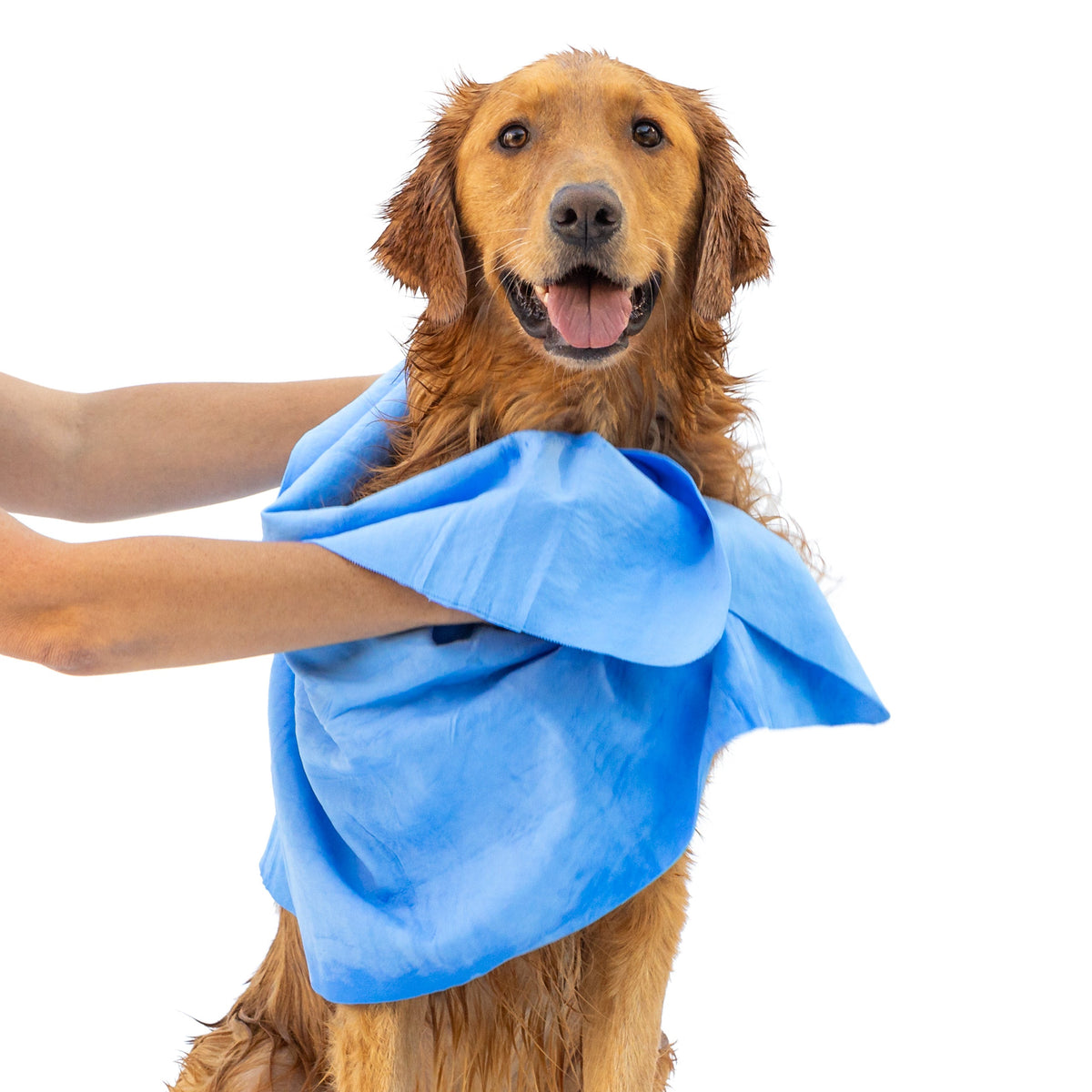 Dog Drying Shammy Towel, 34 by 26 inches, Rubyloo, sold through Sniff and Shift