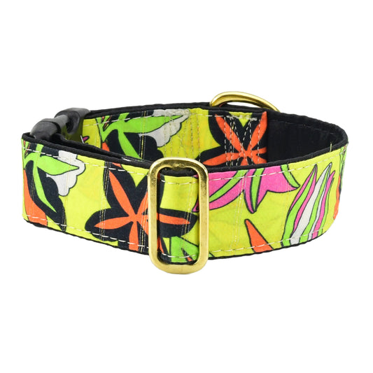 Florence Exclusive Buckle Martingale Dog Collar by 2 Hounds Design, sold through Sniff and Shift