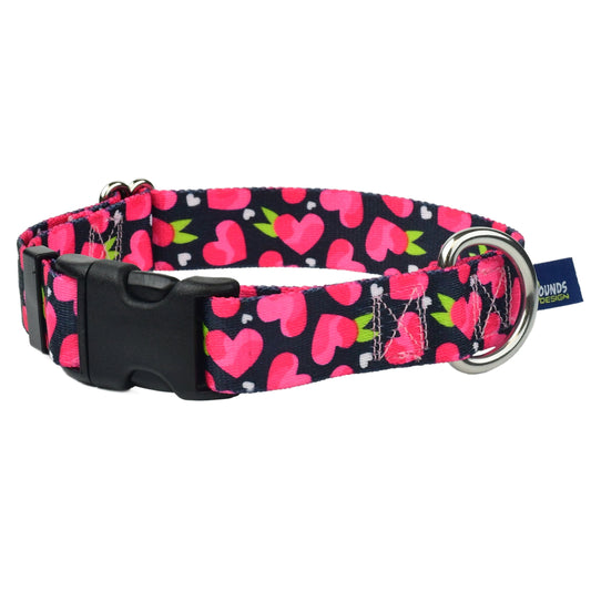 Fruity Hearts Buckle Martingale Dog Collar EarthStyle (1″ Only) by 2 Hounds Design, sold through Sniff and Shift