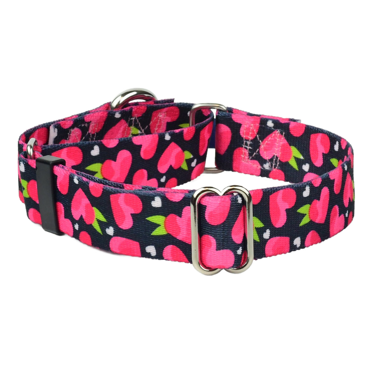 Fruity Hearts Martingale Dog Collar EarthStyle (1″ Only) by 2 Hounds Design, sold through Sniff and Shift