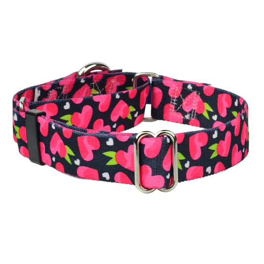 Fruity Hearts Martingale Dog Collar EarthStyle (1″ Only) by 2 Hounds Design, sold through Sniff and Shift