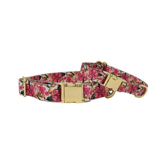 Gianna Dog Collar with floral pink detail and gold hardware, Pink Papyrus Co., sold through Sniff and Shift