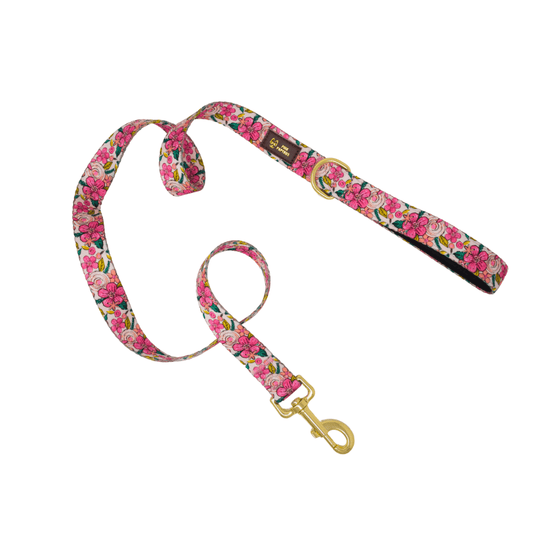 Gianna Dog Leash, Pink Papyrus Co., sold through Sniff and Shift