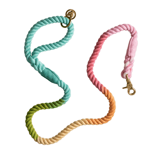 Halston Rope Dog Leash, lightweight comfort, 4 and 6 feet, Pink Papyrus Co., sold through Sniff and Shift