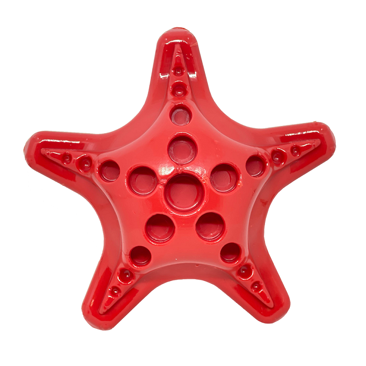 Starfish Nylon Chew Toy