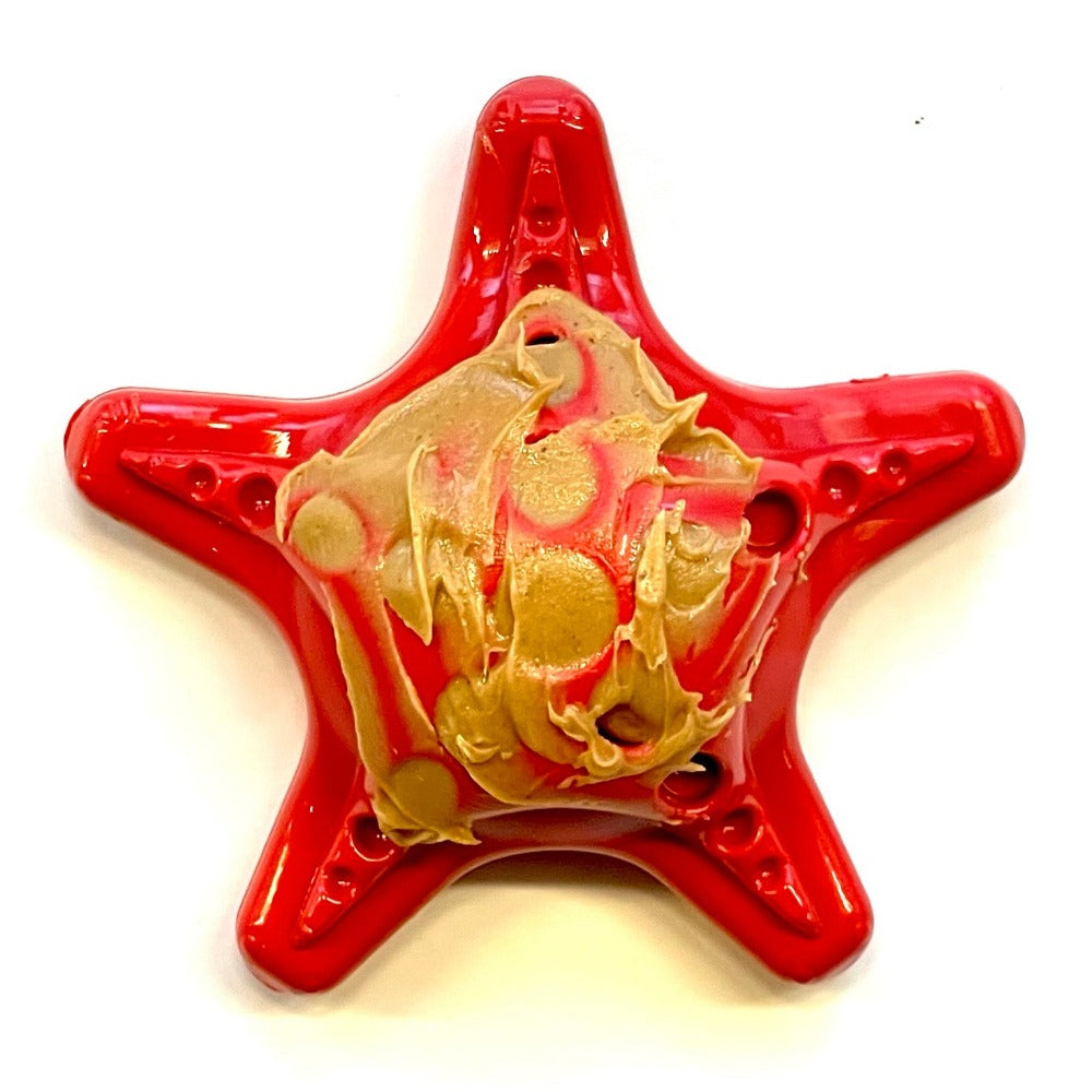 Starfish Nylon Chew Toy