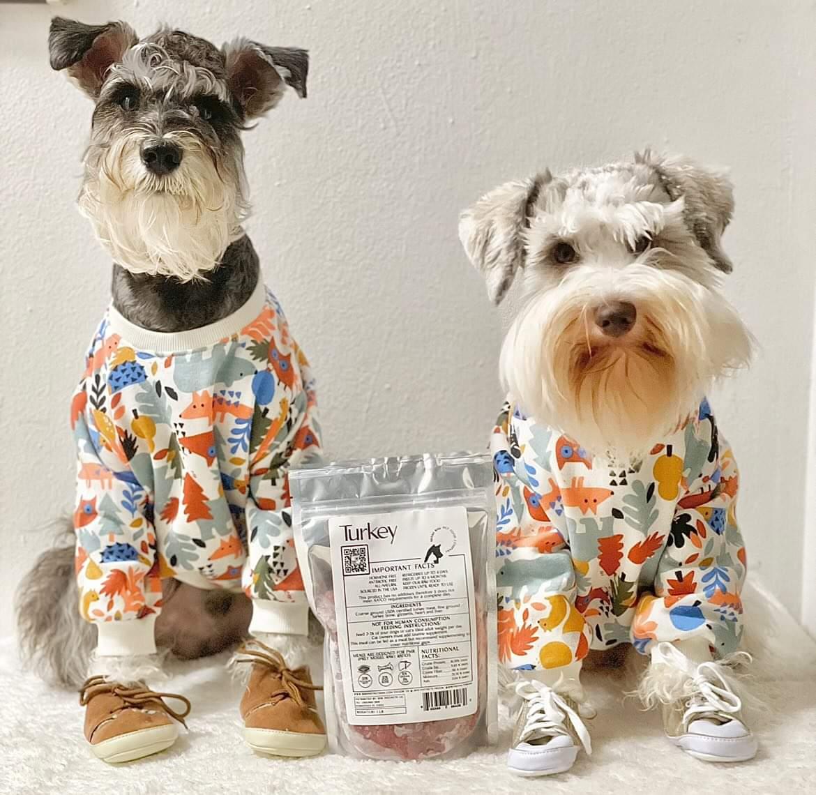 Raw Turkey Meal Blend for Cats & Dogs, Prey Model Raw | Raw Instincts Florida