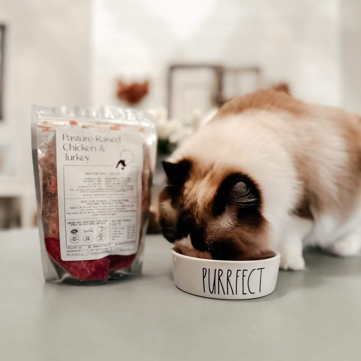 Raw Chicken & Turkey Meal Blend for Cats & Dogs, Prey Model Raw | Raw Instincts Florida