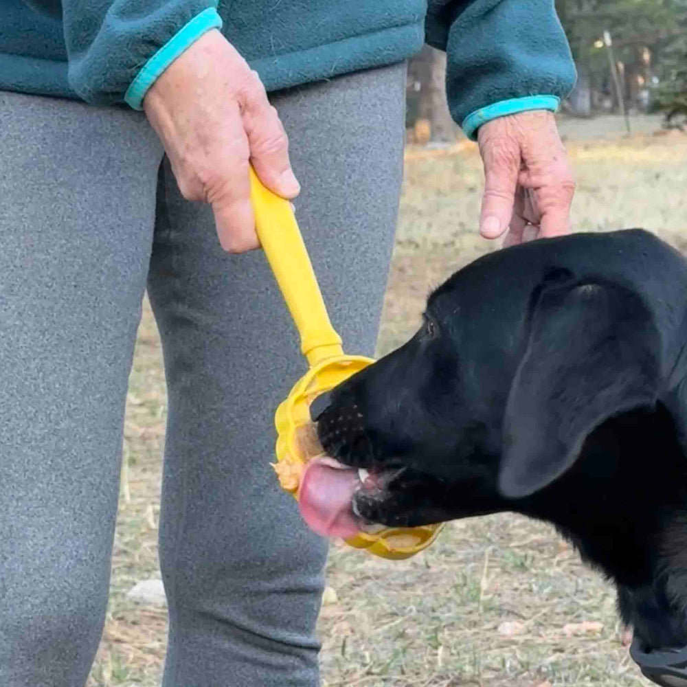 eStick Hand-Held Lick Stick