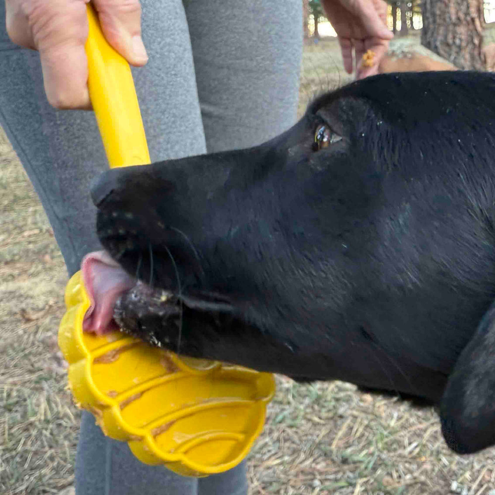 eStick Hand-Held Lick Stick