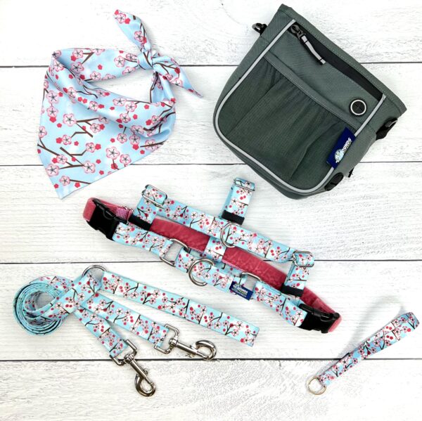 **BUNDLE!** Cherry Blossoms Blue Freedom No-Pull Harness & More! by 2 Hounds Design, sold through Sniff and Shift