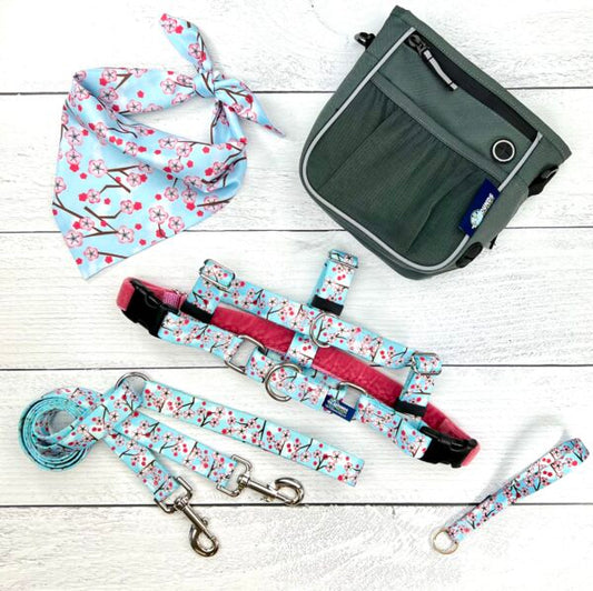 **BUNDLE!** Cherry Blossoms Blue Freedom No-Pull Harness & More! by 2 Hounds Design, sold through Sniff and Shift