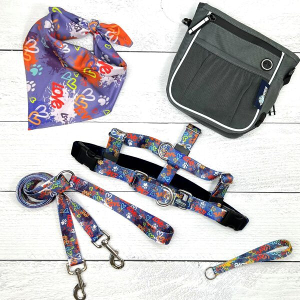 **BUNDLE!** Love Graffiti Blue Freedom No-Pull Harness & More! by 2 Hounds Design, sold through Sniff and Shift
