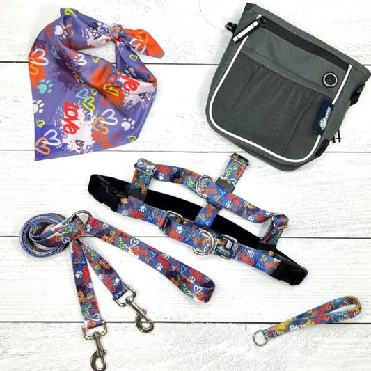 **BUNDLE!** Love Graffiti Blue Freedom No-Pull Harness & More! by 2 Hounds Design, sold through Sniff and Shift