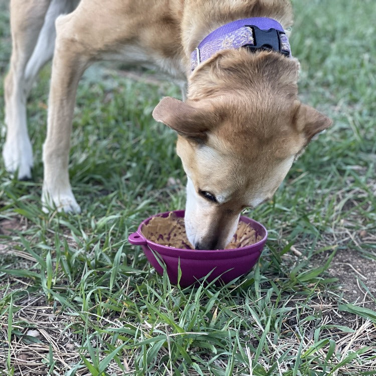 Garden of Eatin' Tipsy Bowl Wobble Lick Mat