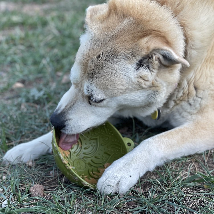 Garden of Eatin' Tipsy Bowl Wobble Lick Mat