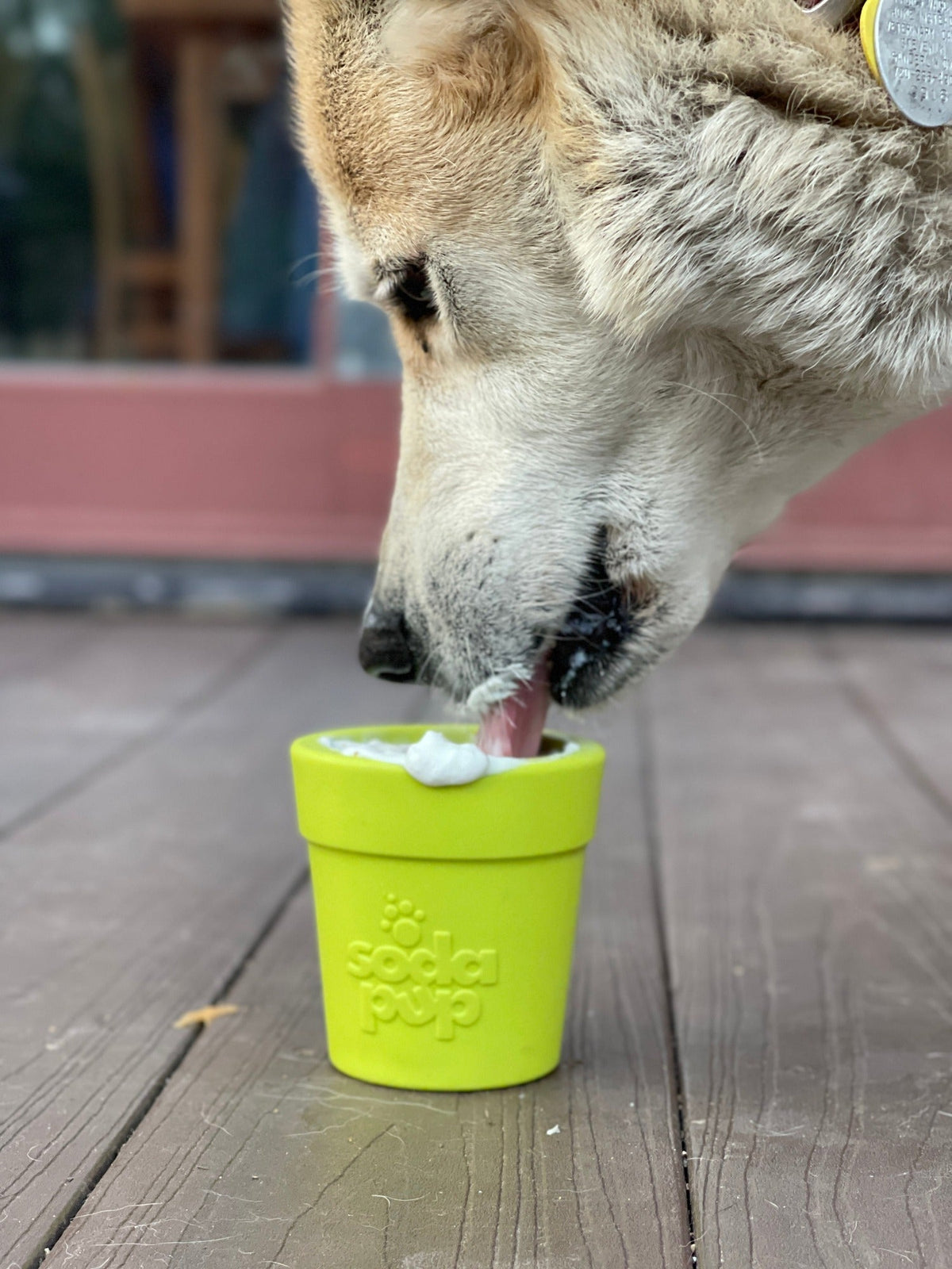Large Flower Pot eCup