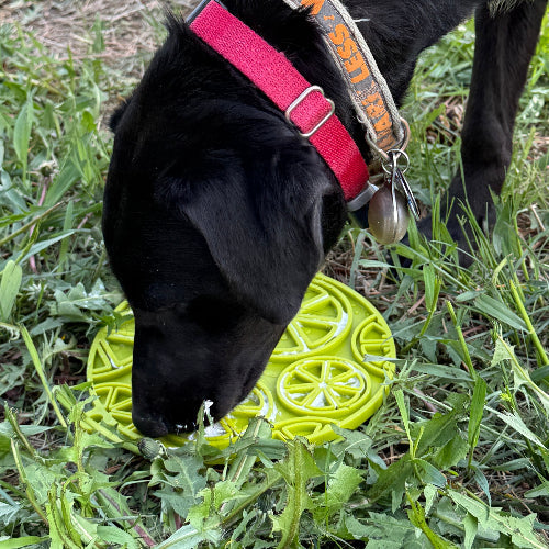 Citrus Design eMat Lick Mat with Suction Cups