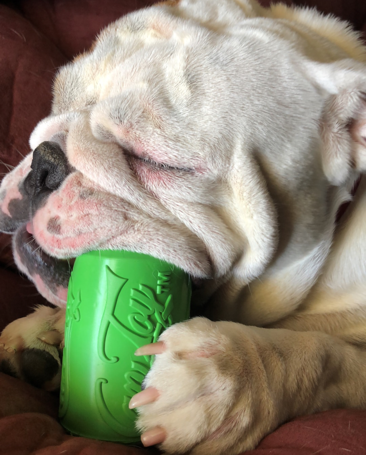 Can Toy Rubber Chew Toy & Treat Dispenser