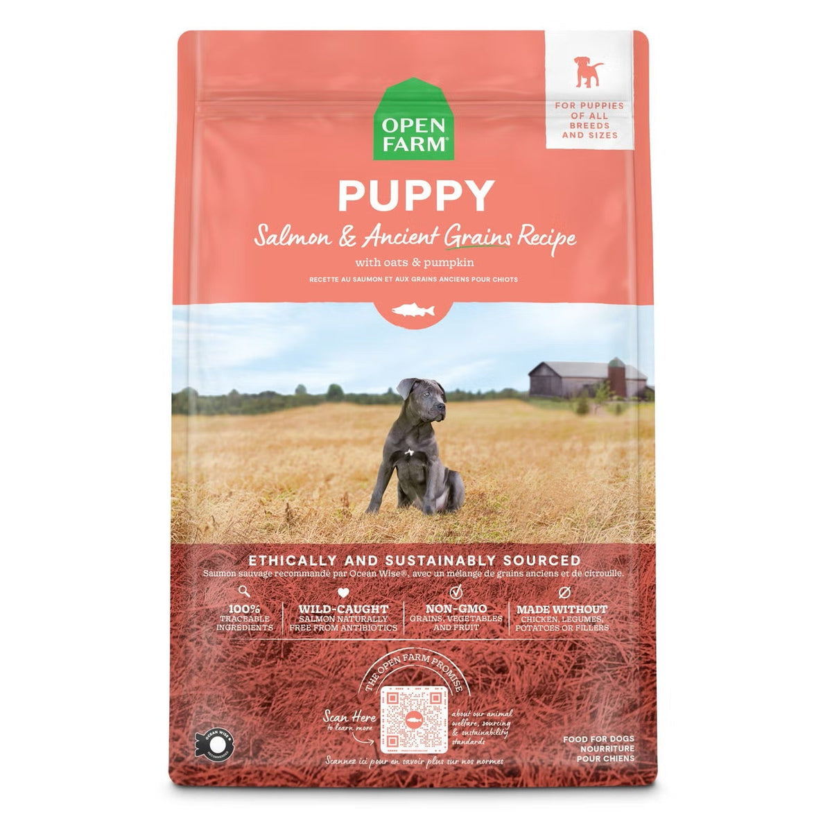 Open Farm Salmon & Ancient Grains Puppy 4lb dry dog food bag