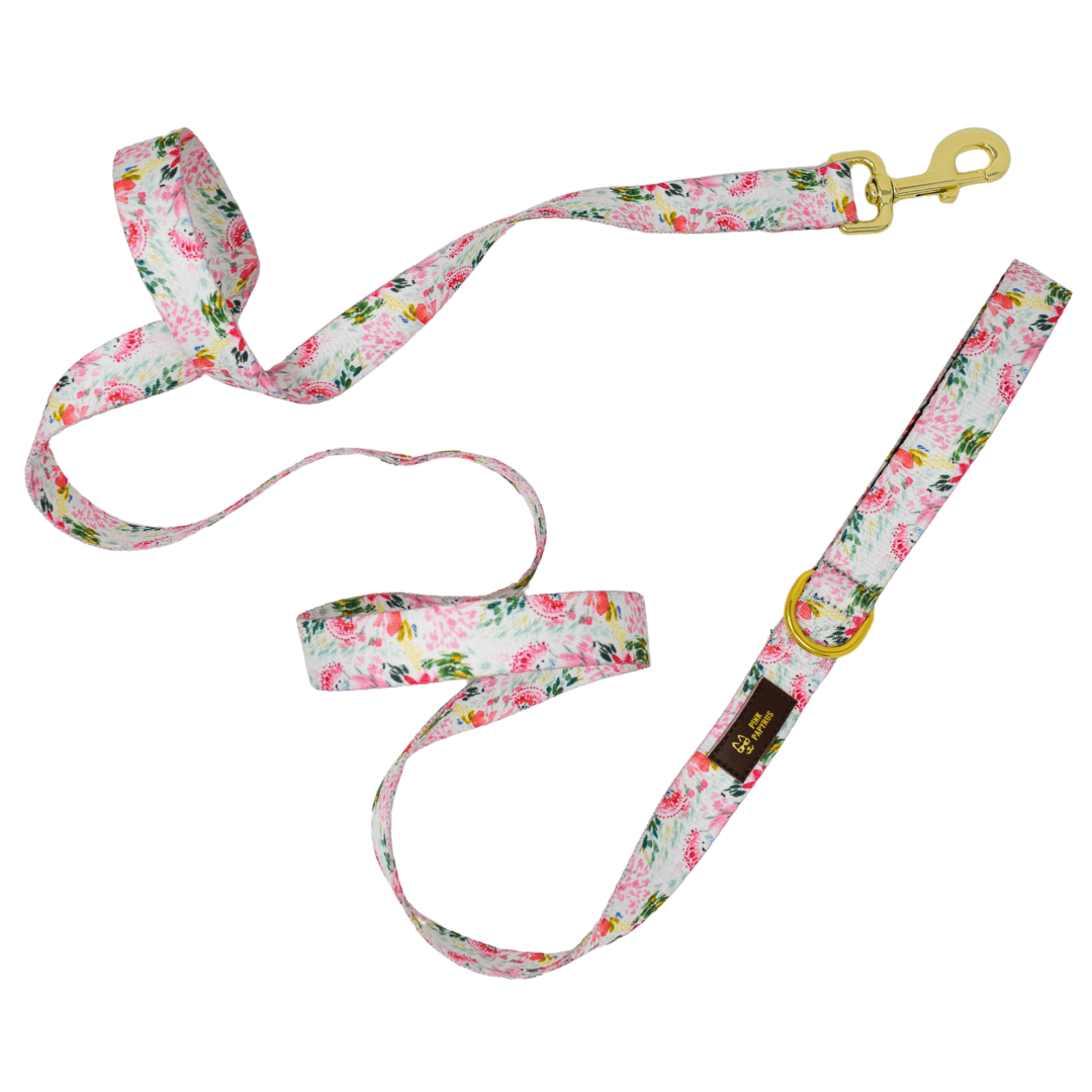 Isabella Dog Leash with a padded grip, 4 and 6 feet, Pink Papyrus Co., sold through Sniff and Shift