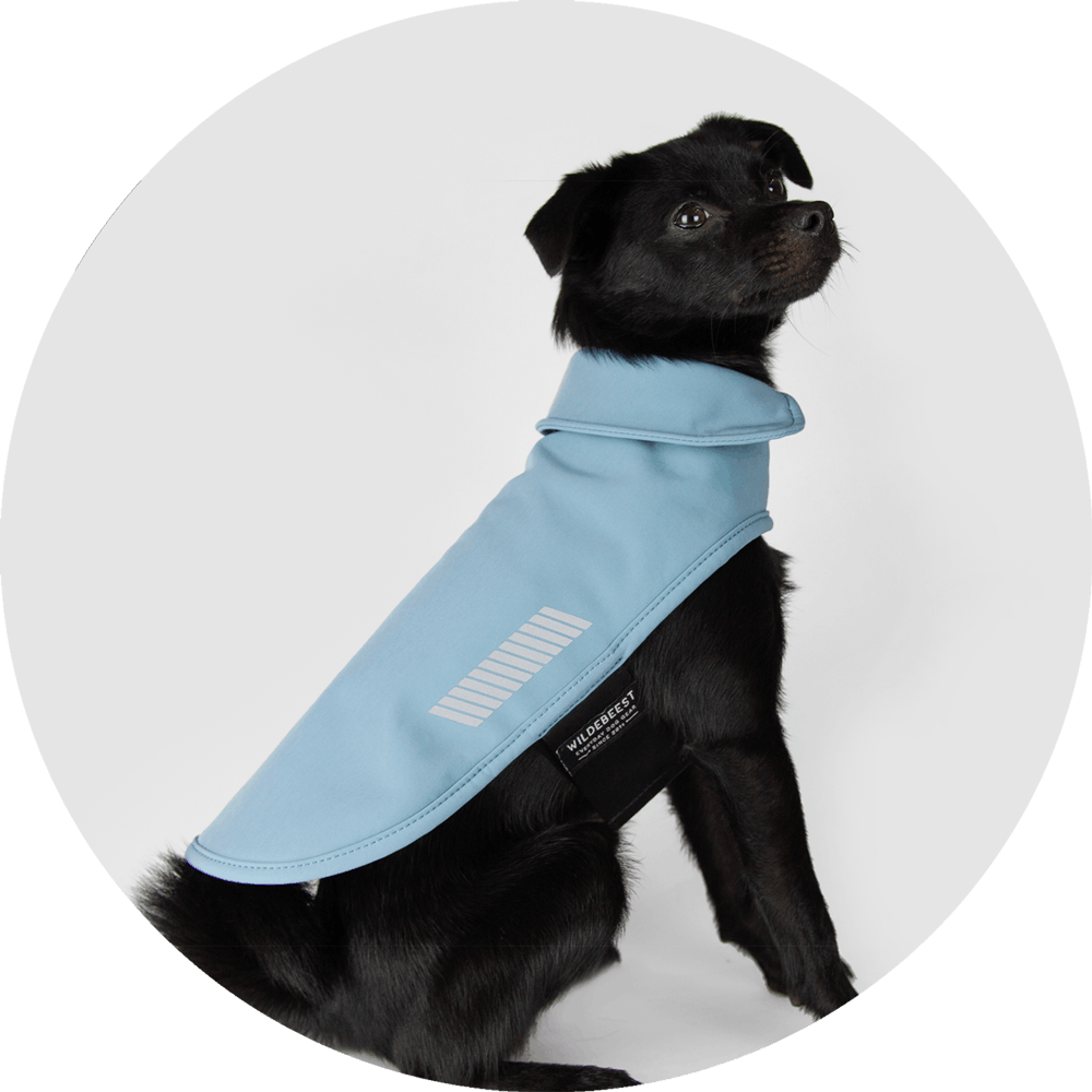 All Weather Dog Jacket