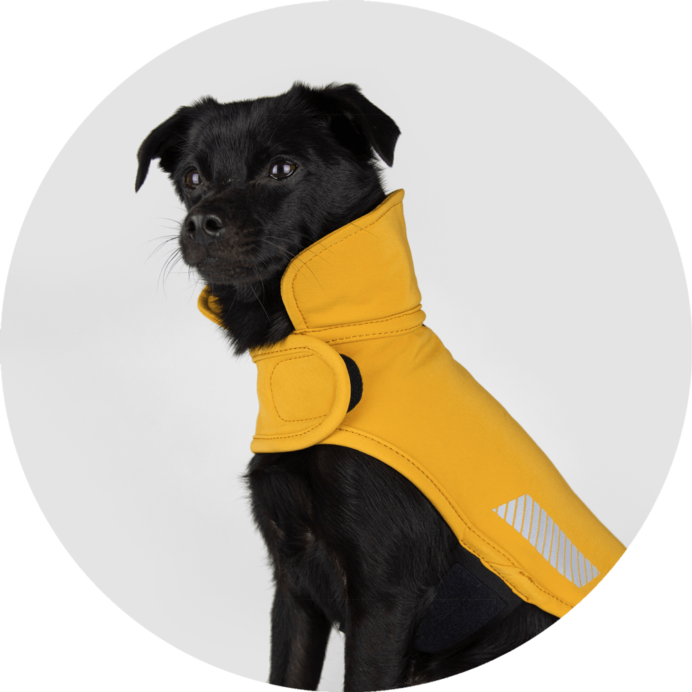 All Weather Dog Jacket with storm collar, in Mustard, Fog and Olive, Wildebeest, sold through Sniff and Shift