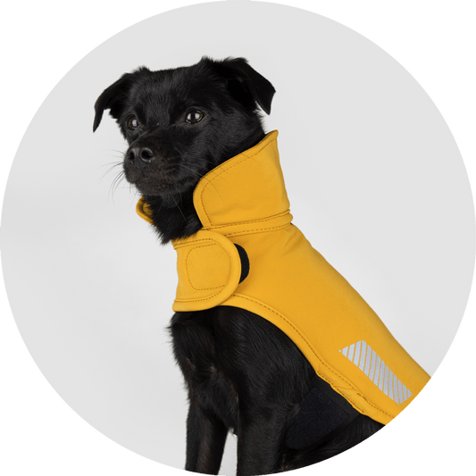 All Weather Dog Jacket with storm collar, in Mustard, Fog and Olive, Wildebeest, sold through Sniff and Shift