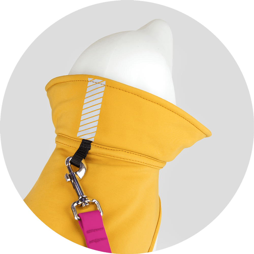 All Weather Dog Jacket